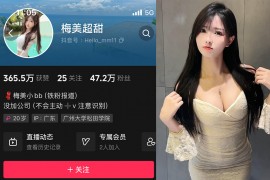 抖音 梅美超甜 微密圈 NO.004期 【56P4V】