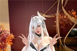 星之迟迟 2026年1月计划D 碧蓝航线 白凤[59P-459M]