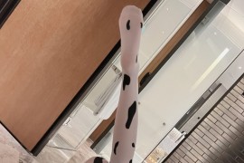 【微-密】葛征GEZHENG-今天喝牛奶了吗[25P1V-127M]