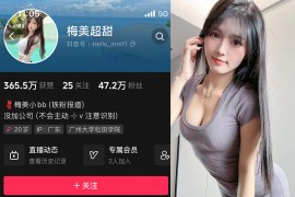 抖音 梅美超甜 微密圈 NO.001期 【35P】