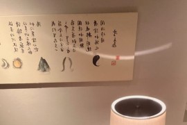 【微-密】洁己-桌子上摩擦 [29P-272M]