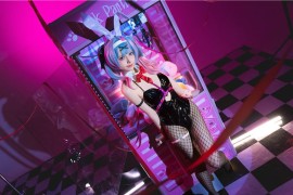 双木扶苏 兔子洞[18P-692M]