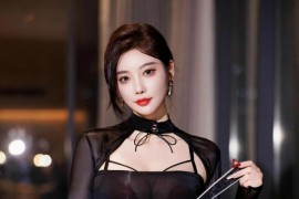 [秀人网] 2024.12.13 NO.9599 杨晨晨Yome  黑色蕾丝旗袍 [81P/646MB]