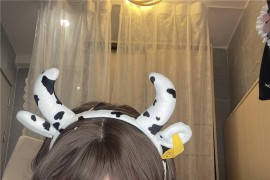 一笑芳香沁 奶牛养殖手册[40P3V-255MB]