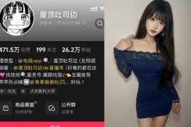 屋顶吐司边 – 微密圈、岛遇等写真&视频合集【持续更新中】