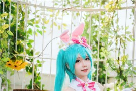 焖焖碳 初音未来 复活节兔子[22P-163M]