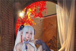 阿包也是兔娘 碧蓝航线 奇尔沙治 [13P-230MB]