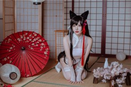 二佐Nisa 犬之眷 碧蓝航线 爱宕 旗袍 [18P-117M]