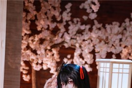 二佐Nisa 碧蓝航线 大凤原皮 [35P-1.22G]