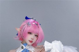 miko酱ww 蕾米埃尔 [26P-133MB]