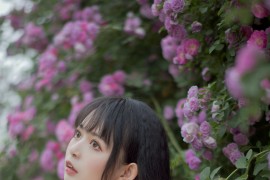 元气大眼美少女黑猫猫OvO 蔷薇