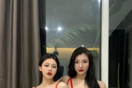 【微密】lelepigbaby-红色透明文胸姐妹成双快乐加倍[29P-110MB]