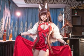 洛璃 LoLiSAMA 碧蓝航线 赤城礼服[53P-503MB]