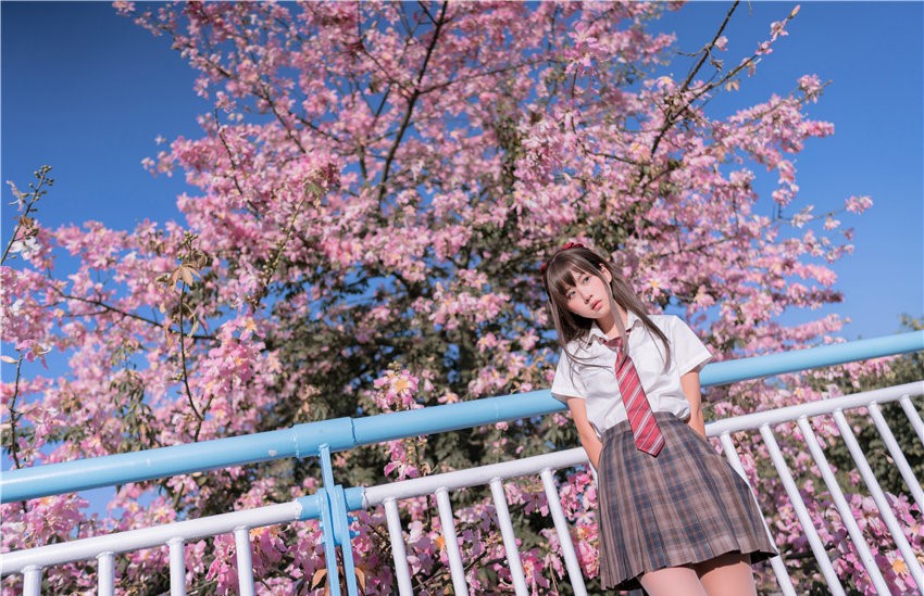 萌芽儿o0 异木棉花 [27P-436MB] 第2张
