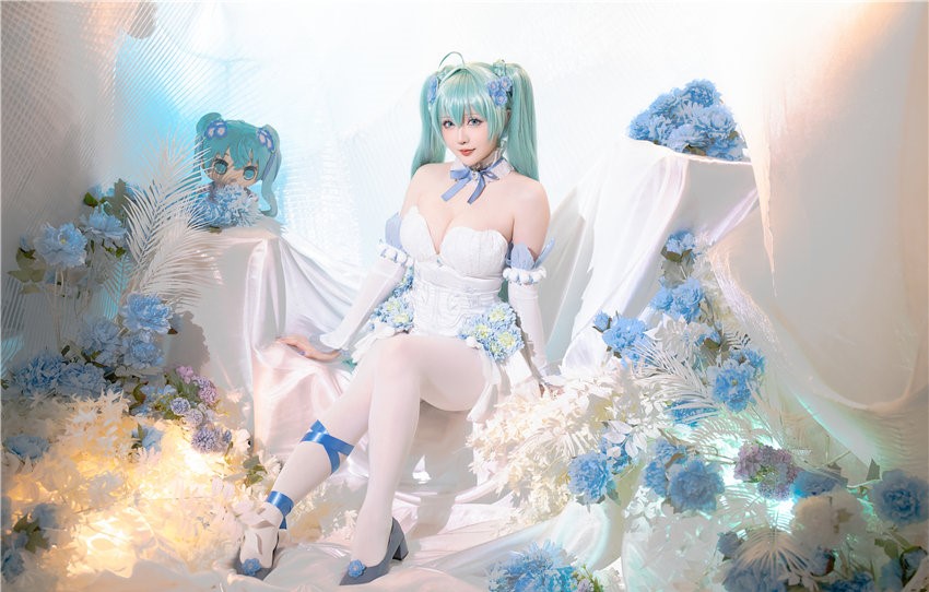 星之迟迟 2024年02月计划A 初音未来 粉蝶花精灵 [54P1V-4.51GB] 第1张