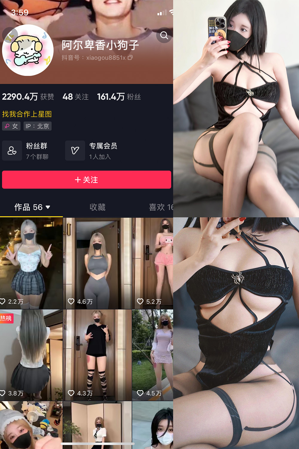 抖音 阿尔卑香小狗子 微密圈 NO.046期 【14P1V】最新至：2024.6.6 第1张