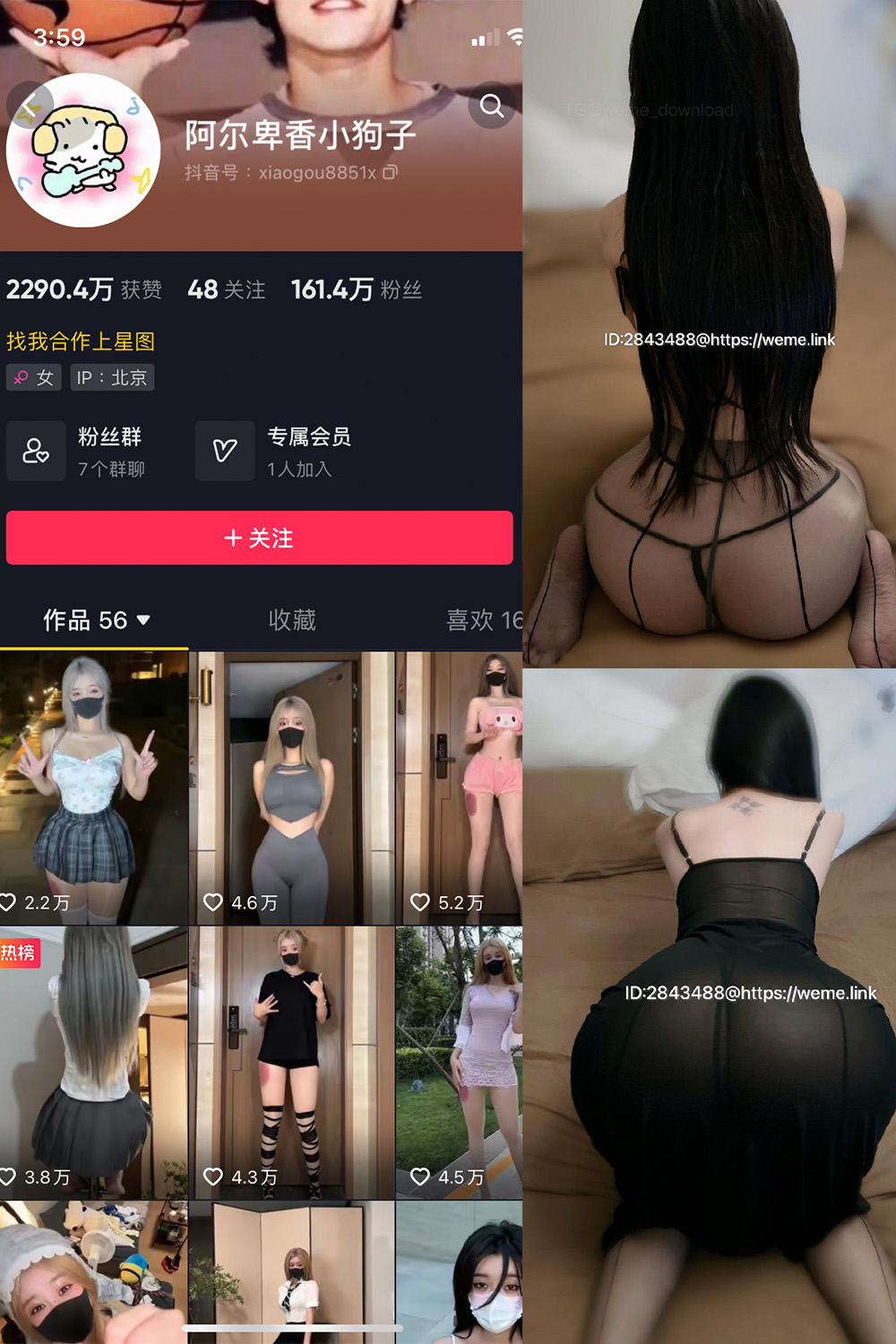 抖音 阿尔卑香小狗子 微密圈 NO.057期 【36P1V】最新至：2024.9.3 第1张