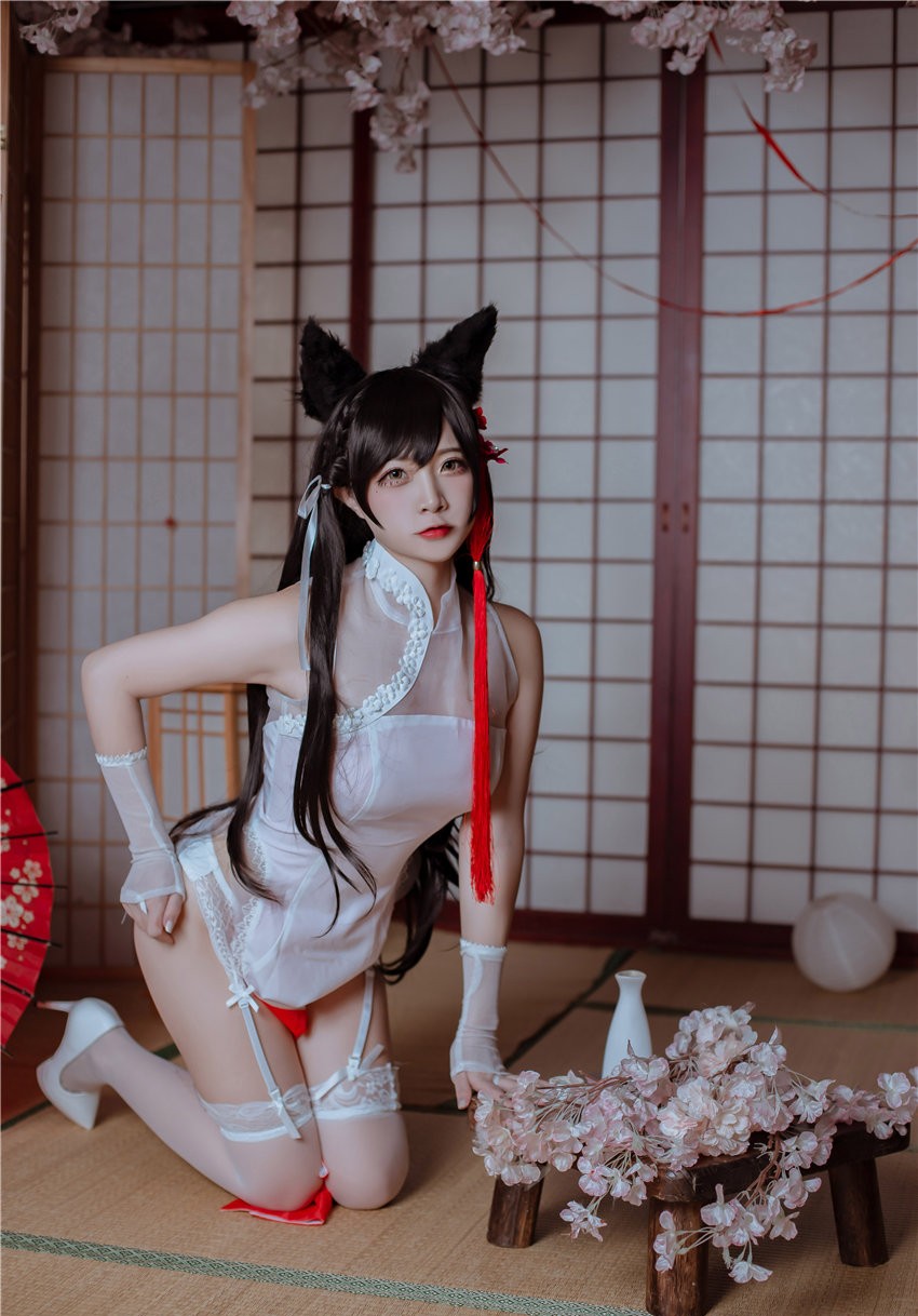 二佐Nisa 犬之眷 碧蓝航线 爱宕 旗袍 [18P-117M] 第4张