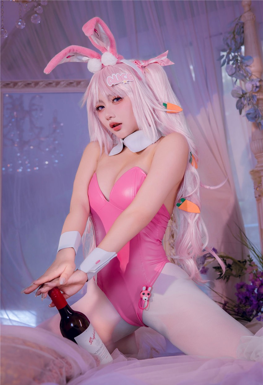 是一只熊仔吗 Nikke爱丽丝 兔女郎 [50P-127MB] 第2张