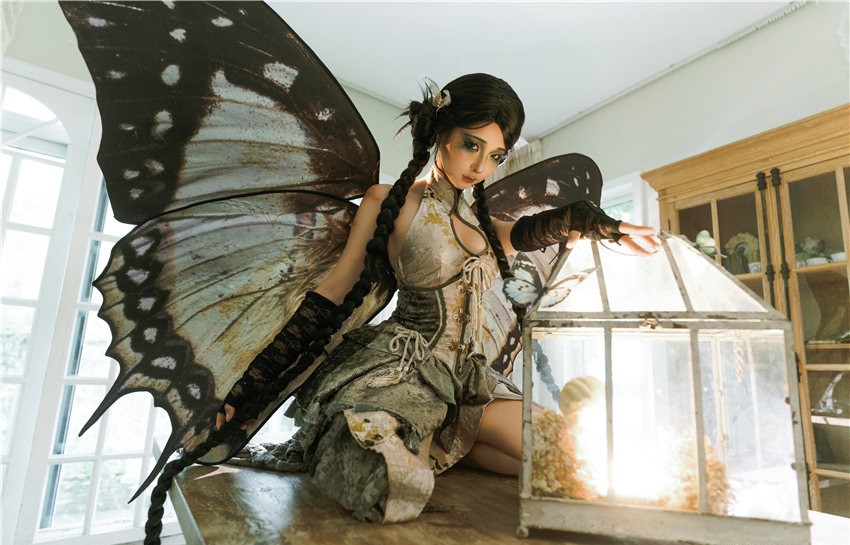 蠢沫沫 枯叶蝶[87P-1.16G] 第1张